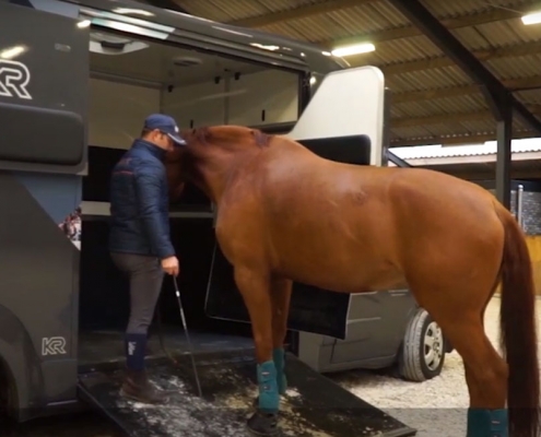 loading your horse on a side van