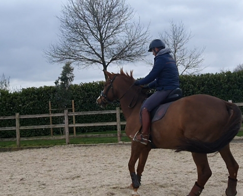 horse spooking at scary corner