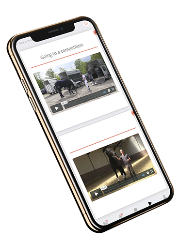 free-videos-competition-horse